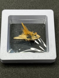 Image 5 of Golden Rutile & Hematite Star Specimen #2203