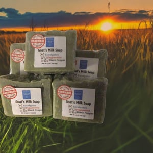 Image of Goat’s Milk Soap 