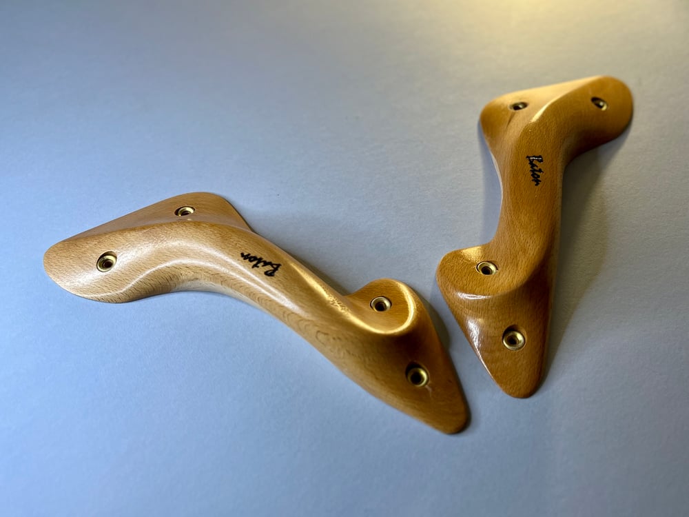 Beech Antlers