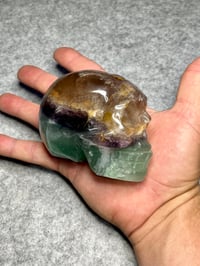 Image 11 of Rainbow Fluorite Crystal Skull #2412