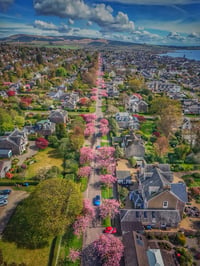 Image 1 of MAY OFFER