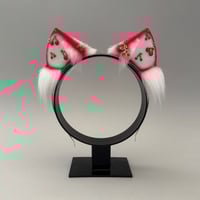 Image 1 of Cherry - Kitten
