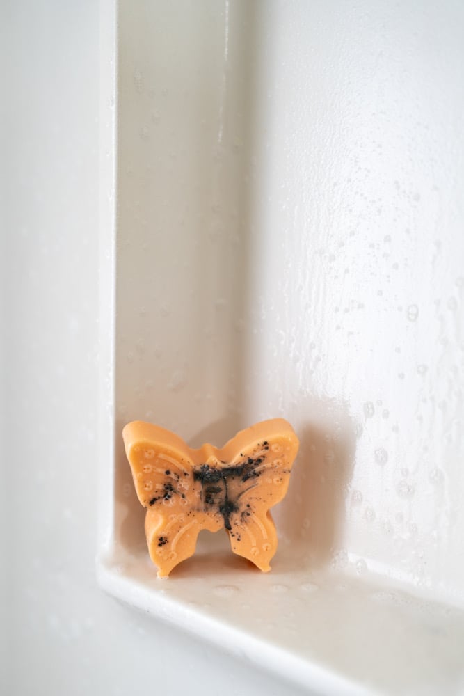 Image of Monarch Bar Soap