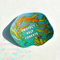 Image 1 of Protect Kelp Forests Sticker