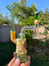 Image of Booty Sipper 