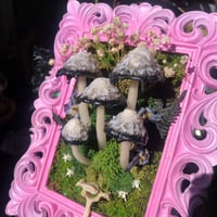 Image 2 of Inky cap led frame