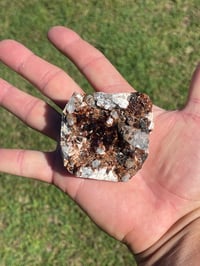 Image 9 of Garnet Cluster Specimen #1204