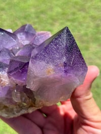 Image 2 of Amethyst Points Cluster |Congo #2909