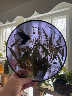 Wildflower field with black butterfly