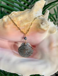 Image 1 of Scallop Shell Necklace N202