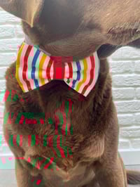 Image 5 of Cabana Beach Hut Stripe Bow Ties / Sailor Bows