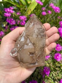 Image 1 of Smokey Skeletal Elestial Quartz