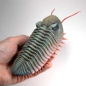 Eldredgeops Trilobite Resin Sculpture