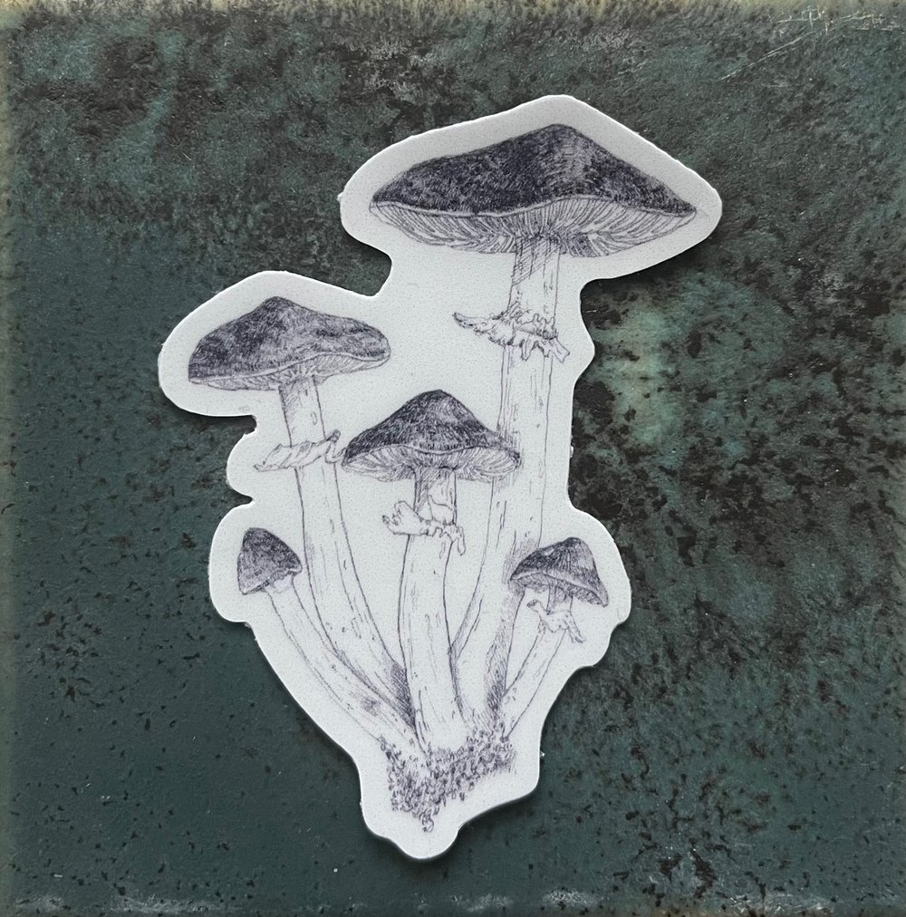 Image of Mushroom sticker 