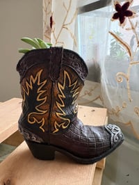 Image 6 of Ghost Echeveria in Cowboy Boot 