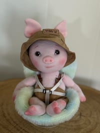 Image 1 of Spencer, Little Bitty Piglet