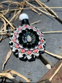 Image 1 of Magenta Cactus Flower