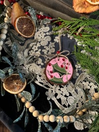 Small Pink Mistletoe 