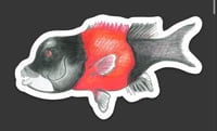 Image 1 of Sheepshead Sticker
