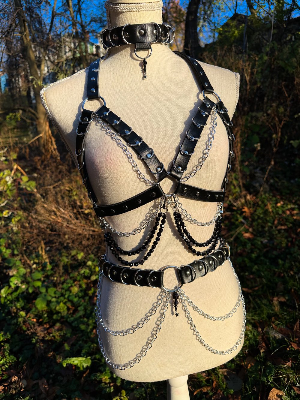 Onyx Harness Set