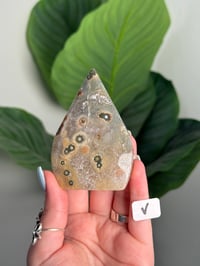 Image 22 of CHOOSE YOUR OWN SEA JASPER FLAME -MADAGASCAR-