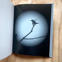 Image 2 of Carol E. Richard’s - Dreams Of Birds