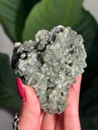 Image 2 of BOWTIE PREHNITE -INDIA- G