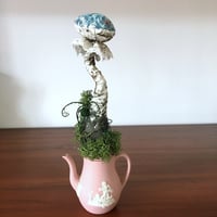 Image 3 of Pink Wedgewood fungi sculpture set