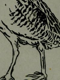 Image 4 of "CornCrake Calling" - LINO PRINT