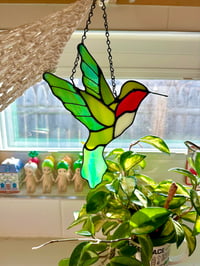 HUMMINGBIRD