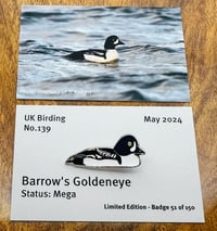 Image 1 of Barrow's Goldeneye - No.139 - UK Birding Pins