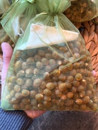 Image 2 of Soap Berries 