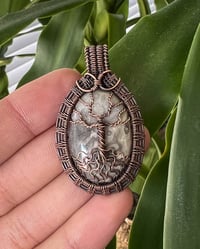 Image 1 of Lace Agate - Tree Of Life