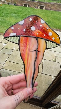 Image 2 of Mushroom bum 2