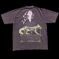 Image 2 of -little bandit: forrest-