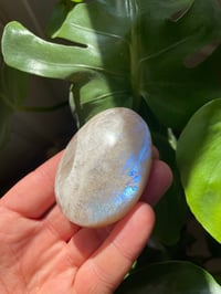 Image 2 of Moonstone Palm Crystal (8)