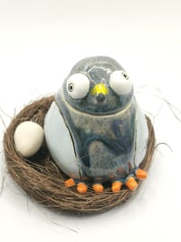 Image 1 of Pigeon 6
