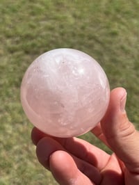 Image 4 of Star Rose Quartz Sphere #2982