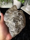 Smoky Elestial Cluster