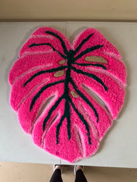 Monstera pink 