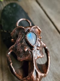 Image 5 of Muskrat Skull with Moonstone