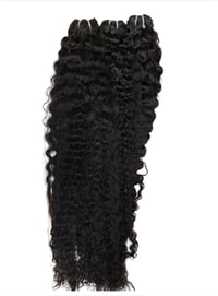 Image 1 of Burmese Curly 