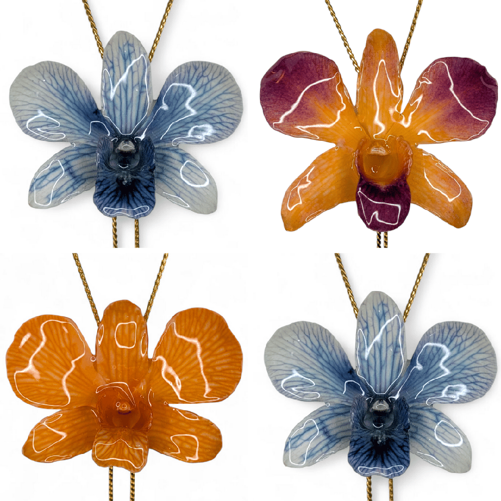 Image of Dendrobium Orchid Sliders (Blue & Oranges)