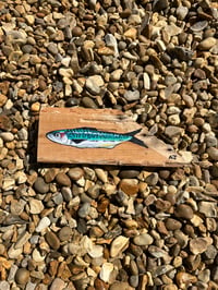 Image 1 of Mackerel on Wood