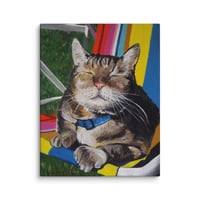 Image 2 of Sunshine Kitty