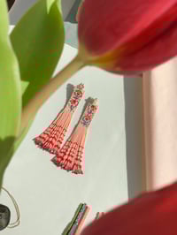 Image 3 of Mis volantitos