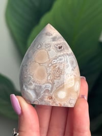 Image 2 of HQ FLOWER AGATE FLAME -MADAGASCAR- I