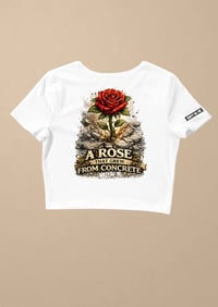 Image 2 of “The Rose That Grew From Concrete”