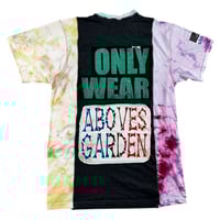 Image 2 of 211. RACE TO THE GARDEN 