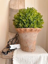 Image 1 of Large Frill Rustic Pot